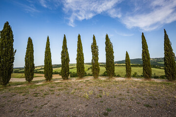 Fototapeta premium Beautiful landscape in Tuscany, Italy. Tuscany cypresses.