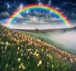 Rainbow over the meadow. picturesque spring morning. nature of Ukraine