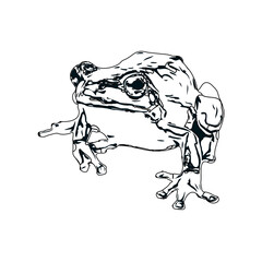 Fototapeta premium black and white sketch of a frog with transparent background