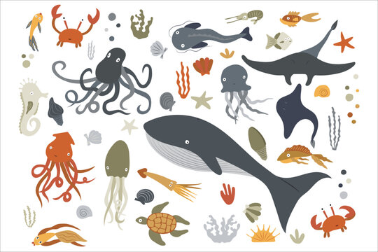 Set of marine animals and aquatic plants. Cartoon sea life vector illustration isolated on white background