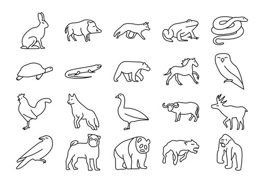 Set animals large set of animals in a linear style.