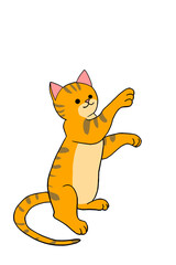 何かをつかもうとして手を伸ばしている黄色いトラ猫の子猫