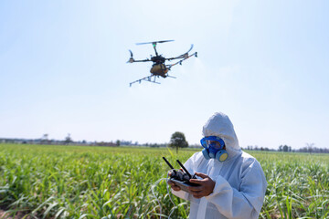 Farmer fly drone spray insecticide using high technology increasing productivity agriculture