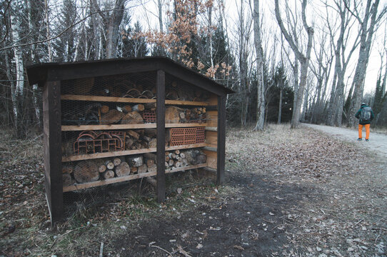 Hotel de insectos con hombre practicando senderismo de fondo en el Bosque Finland&eacute;s de Rascafr&iacute;a, Madrid.