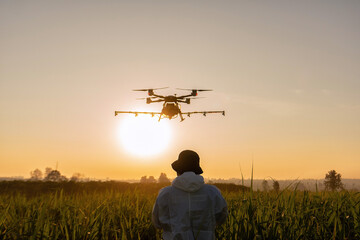 Farmer fly drone spray insecticide using high technology increasing productivity agriculture