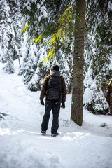 Hiker in snowy forest in winter