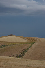 Glimpse of the Molise countryside while an agricultural machine is harvesting the wheat
