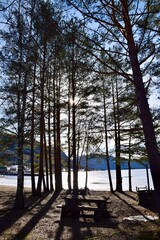 Fototapeta na wymiar Sun shining through trees with shadows on the ground. Frozen lake behind. Bygland, Norway February 2023. 