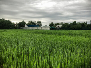 Photo of a field with a building and trees in the background
