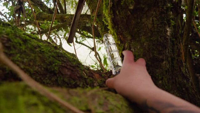 woman finds glass dildo in tree