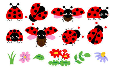 Fototapeta Cute cartoon ladybug collection with flowers and leaves, red beetle with dots. Funny love bugs, flower buds and foliage pack bundle for spring collections. obraz