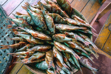 fresh fish at the market