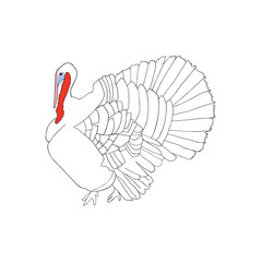 Turkey hand drawn on white background illustration. - 576340094