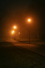 orange inluminated street lights in a dark and foggy night in the park