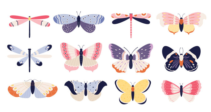 Naklejki Cute butterflies collection, insects with colored pattern wings