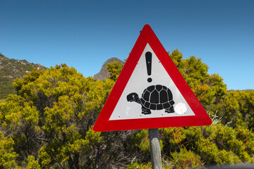 Beware of turtles Cape of Good Hope, South Africa - 576344280