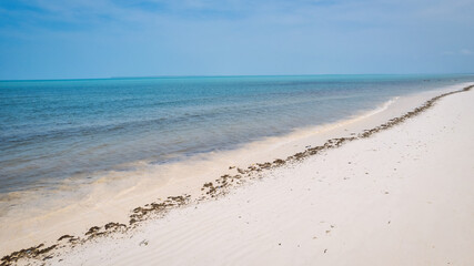 The aerial view of Zanzibar's Indian Ocean coastline is simply stunning, featuring palm trees, white sand, and sparkling blue waters. With luxurious hotels and a tropical landscape, it is the perfect 