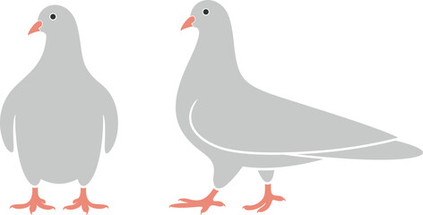 Dove logo. Isolated dove on white background. Bird