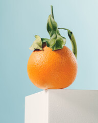 orange with leaves over a white cube witha blue background