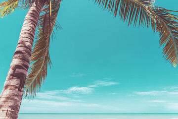 Tropical palm tree with blue sky and cloud abstract background. Summer vacation and nature travel adventure concept.