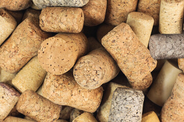 Wine corks isolated on white background close-up