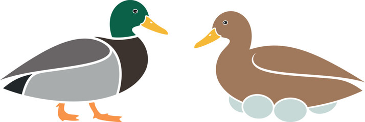 Duck logo. Isolated duck on white background. Bird