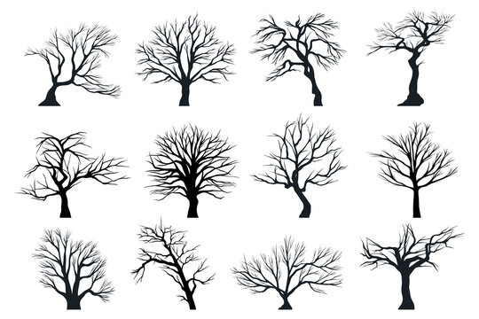 Set of vector isolated trees. Plant silhouettes.