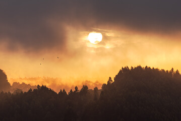Sunset sky over mountain and forest landscape