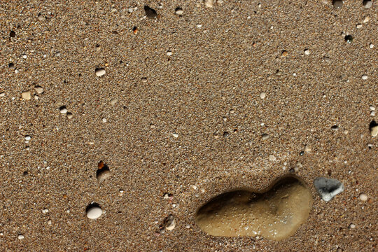 Texture of wet sand on the beach with stones.