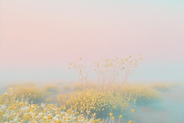 Landscape of a spring morning in a meadow. Soft pastel background. Field, spring, yellow flowers. Fog and morning dew. Generative AI.