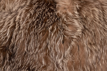 テクスチャ―　毛皮（シルバーフォックス）　texture of brown fox fur	