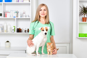 Young smiling veterinarian with jack russell terrier dog and kitten scottish straight