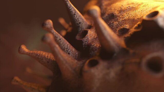 The concept of biological contamination. Virus cell close up. Bronze brown. HIV infection. AIDS. 3d animation 