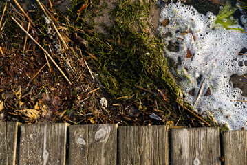 Shoreline with seaweed by a soaked bridge