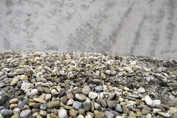 Round stones in nature