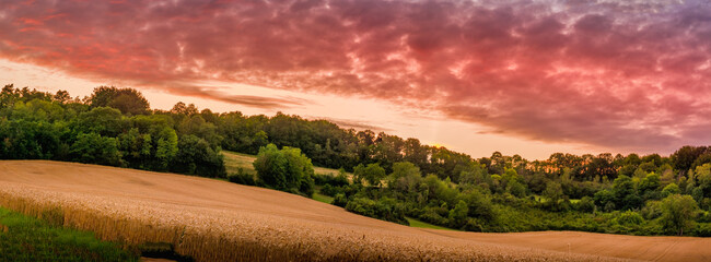 Vue panoramique sur un champ de blé à la campagne au coucher du soleil
