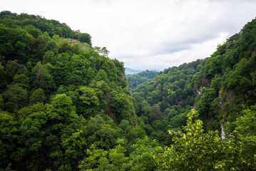 View of the mountains covered with rain forest. Clouds and fog hanging over a lush rainforest. Mountain ranges and hills covered with evergreen rainforests.