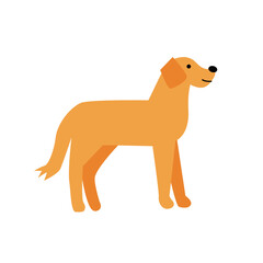 Vector illustration of cute labrador dog isolated on ehite background. 