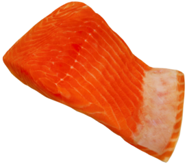 Raw Salmon orange Fish Steak on a White Background. Fresh single portion of salmon without skin, object isolated, png file available. Transparent.