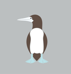 Brown booby logo. Isolated booby on white background. Gannet