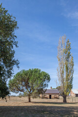 nature life with building or landscape