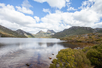 nature life with building or landscape