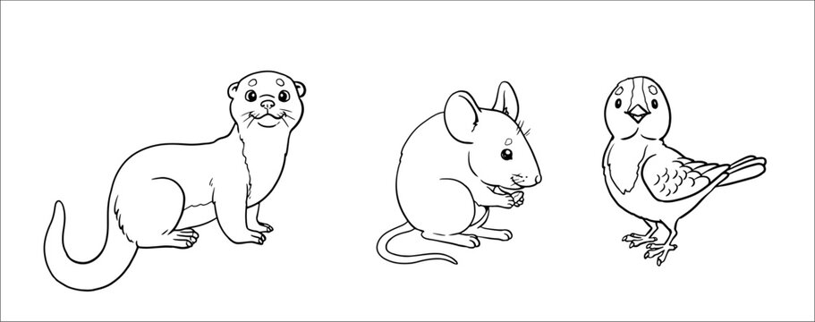 Cute mouse, otter and bird to color in. Vector template for a coloring book with funny animals. Coloring template for kids.	