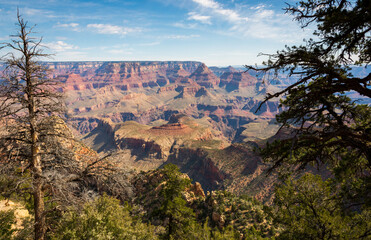 The Beautiful Landscape of Grand Canyon National Park