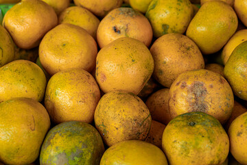 Medan oranges sold at the fruit shop
