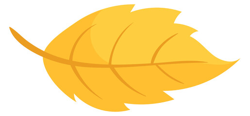 Obraz premium Yellow leaf. Autumn tree foliage cartoon icon