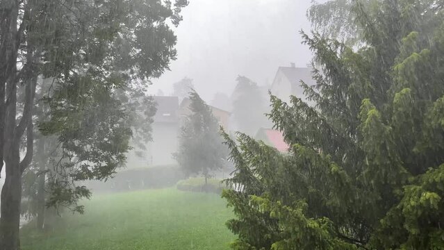 Footage of extreme weather with rain and wind in summer