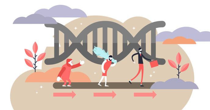 evolution concept people dna abstract flat design clip art preview