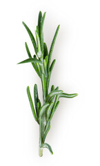 top view rosemary isolated on white background