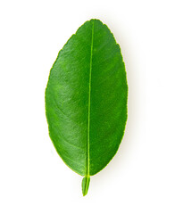 Obraz premium top view lemon yellow isolated on white background